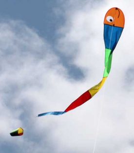 Wilma Worm, a long single string kite for young children