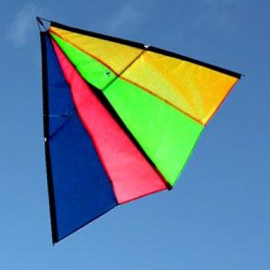 Wind Wizard Australian made stunt kite
